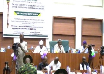 Correctional Service Key to Nigeria’s Security -Ogah