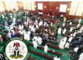 Reps Intervene in Alleged Discrimination Against Nigerians in Abuja Chinese Supermarket.