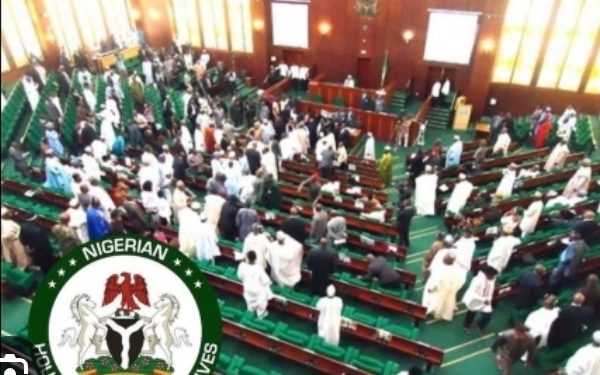Reps Intervene in Alleged Discrimination Against Nigerians in Abuja Chinese Supermarket.