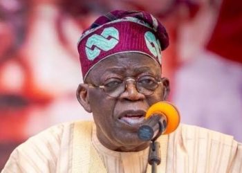 Tinubu Best Thing To Happen To Northern Nigeria – Arewa Group.