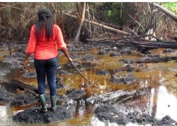 Oil Spillage: Reps vow to seek Justice for host Communities Affected.