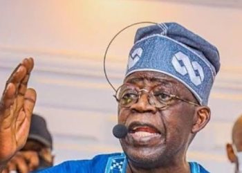 Rivers Crisis: Tinubu’s Refusal To Take With Wike Healthy For Democracy – Nigerians In Diaspora.
