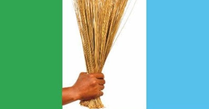 Pro-Democracy Group Slams APC Chieftain Okocha Over Claims on Fubara.