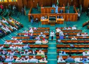 Cholera Outbreak: House of Representatives Urges Swift Response to Stem Rising Mortality Rate.