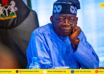 Northern Youths Withdraw from Protest, Pledge Loyalty to Tinubu, Mattawalle.