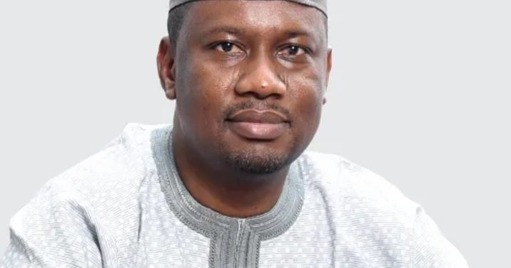 Senate forms Committee to Investigate Mambilla Hydroelectric Power Project Transactions.