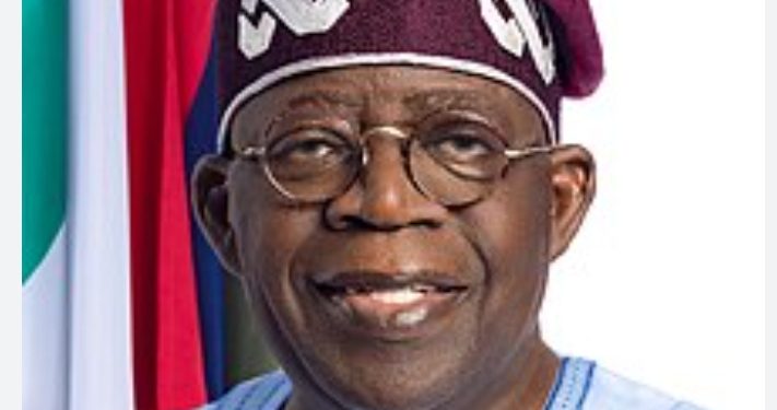 Senator Karimi Cautions Senator Ndume Over Criticisms of Tinubu Administration