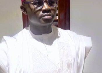 Nigeria Ranks 8th largest producer of pineapples globally but imports pineapple –Amb Alabi.