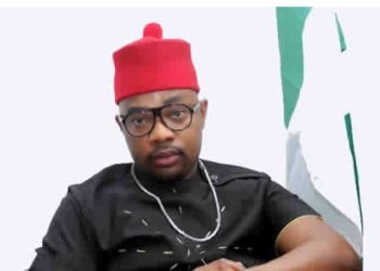 NNPCL Probe: I didn’t offer $1.7m to Speaker Abbas -Ugochinyere, pledges allegiance to House leadership