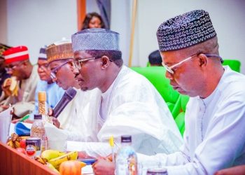 Sports Committee Hails Dikko’s Appointment: A New Era for Nigerian Sports