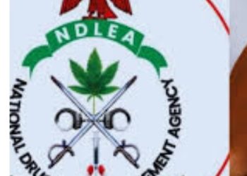 NDLEA pursuing vendetta against Senator Ashiru with baseless allegations -Anti-Corruption group.