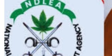 NDLEA pursuing vendetta against Senator Ashiru with baseless allegations -Anti-Corruption group.