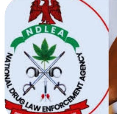NDLEA pursuing vendetta against Senator Ashiru with baseless allegations -Anti-Corruption group.