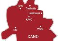 Observers Describe Kano LG Elections As Sham, Comedy Taken Too Far.