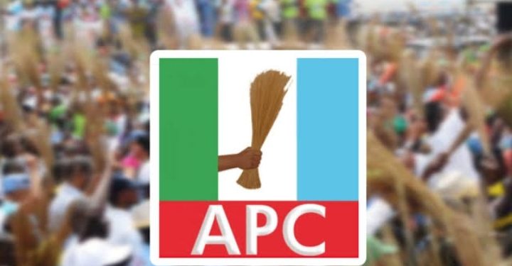 APC Youth Disown Group Over Protest Against Matawalle