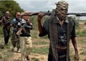 Banditry: Desperate politicians envious of Tinubu, aiding banditry in North West -Group