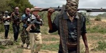 Banditry: Desperate politicians envious of Tinubu, aiding banditry in North West -Group