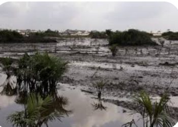 CSOs Demand Immediate Halt to Oil Divestments in Niger Delta.