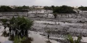 CSOs Demand Immediate Halt to Oil Divestments in Niger Delta.