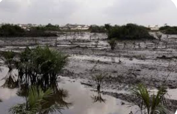 CSOs Demand Immediate Halt to Oil Divestments in Niger Delta.