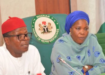 2025 Budget: Senate grilled Minister on Ajokuta Steel concessioning process.