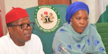 2025 Budget: Senate grilled Minister on Ajokuta Steel concessioning process.