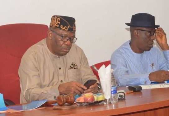 National Assembly Summons Finance Minister Over Poor Solid Minerals Budget Allocation