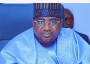 Renewed Hope Ambassadors Laud Kebbi Governor, Minister Bagudu Over Solidarity Rally For Tinubu