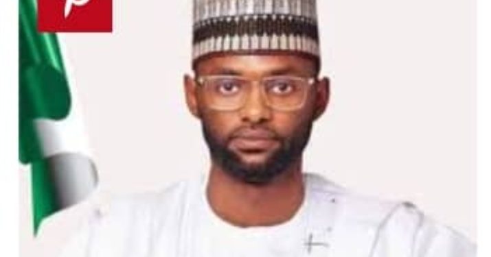 Tinubu Appoints Yazid Danfulani as MD of Nigerian Agricultural Insurance Corporation