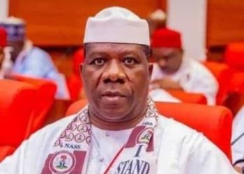 Senate Leader Defends NASS, Says ‘We’re Not a Rubber Stamp