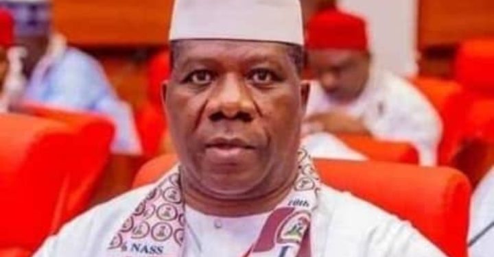 Senate Leader Defends NASS, Says ‘We’re Not a Rubber Stamp