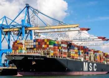 Reps Order IGP to Arrest Mediterranean Shipping Bosses Over Tax Evasion, Shipping Scams