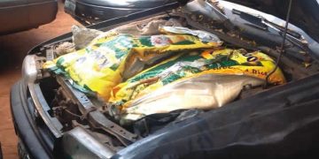 Security Agencies allegedly Accused of Aiding Smuggling Networks Along Seme, Badagry and Ogun Borders