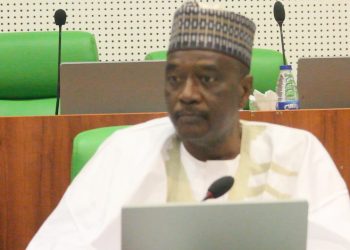 Agricultural Subsidies: Reps to Grill Auditor -General, Finance Minister and Agriculture and Food Security Minister