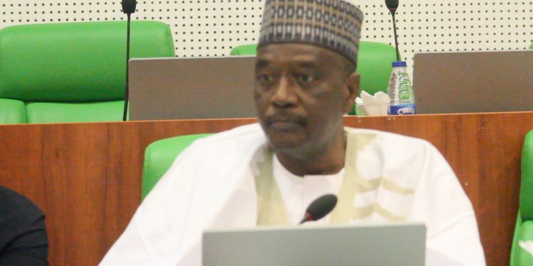 Agricultural Subsidies: Reps to Grill Auditor -General, Finance Minister and Agriculture and Food Security Minister