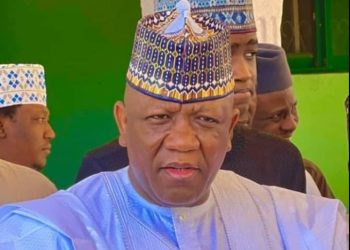 Geregu Power Plc: Why Yari’s board appointment does not excite us -Northern group