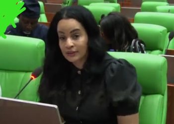 Capital Importation Rises to $21bn as Oduwole Pushes for Higher 2026 Budget to Sustain Investment Momentum