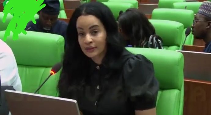 Capital Importation Rises to $21bn as Oduwole Pushes for Higher 2026 Budget to Sustain Investment Momentum